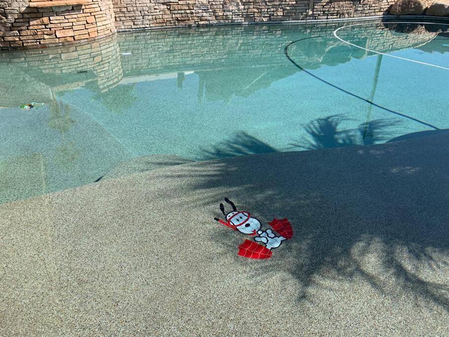 Ultimate Backyard-Pool/Spa. Slide. Lakeview. Ball Lake Havasu City Exterior photo